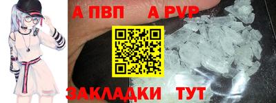 спиды Донской
