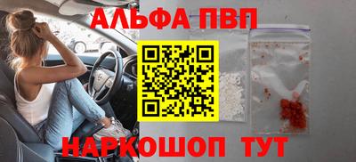 спиды Донской