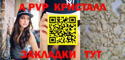 спиды Донской