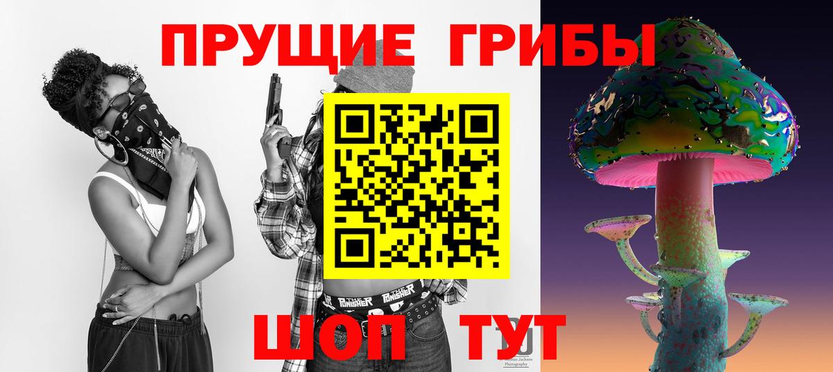 Псилоцибиновые грибы Psilocybe Кызыл